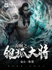 《海贼之银狐大将》小说封面