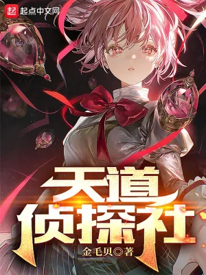 《天道侦探社》小说封面