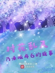 《村花乱入乃木坂46的故事》小说封面