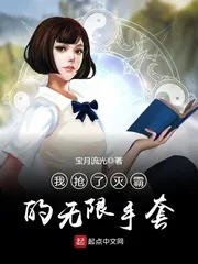 《我抢了灭霸的无限手套》小说封面
