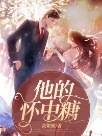 《他的怀中糖》小说封面