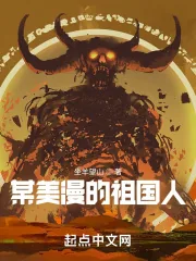 《某美漫的祖国人》小说封面