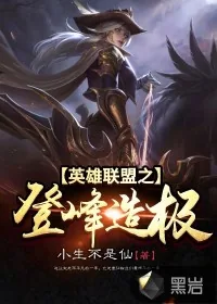 《英雄联盟之登峰造极》小说封面