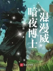《暗夜博士混漫威》小说封面