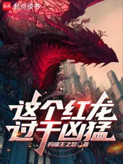 《这个红龙过于凶猛》小说封面