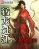 《猛龙过江》小说封面