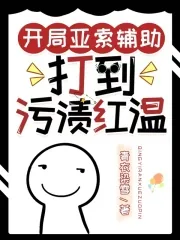 《开局亚索辅助，打到污渍红温》小说封面