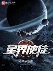 《星界使徒》小说封面