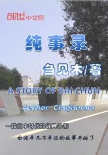 《纯事录》小说封面