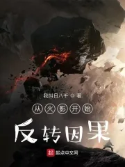 《从火影开始反转负面属性》小说封面