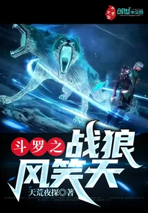 《斗罗之战狼风笑天》小说封面