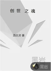 《创世之魂》小说封面