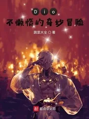《Dio不懒惰的奇妙冒险》小说封面