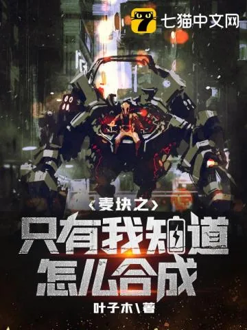 《麦块之只有我知道怎么合成》小说封面