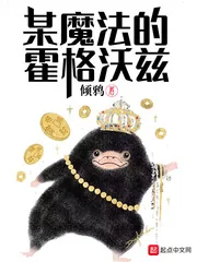 《某魔法的霍格沃茨》小说封面