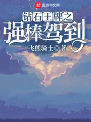 《钻石王牌之强棒驾到》小说封面