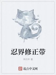 《忍界修正带》小说封面