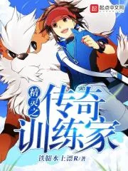 《精灵之传奇训练家》小说封面