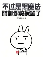 《不过是黑魔法防御课教授罢了》小说封面