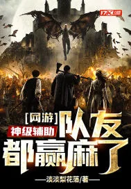 《网游：神级辅助，队友都赢麻了》小说封面