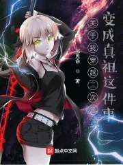 《关于我穿越二次元变成真祖这件事》小说封面