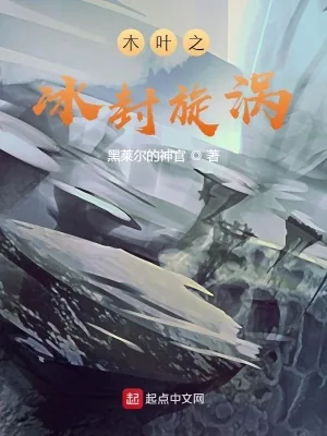 《木叶之冰封漩涡》小说封面