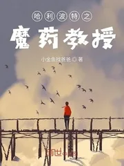 《哈利波特之魔药教授》小说封面