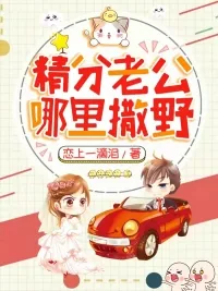 《精分老公哪里撒野》小说封面