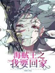 《海贼王之我要回家》小说封面
