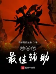 《峡谷之最佳辅助》小说封面