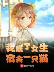 《我成了女生宿舍一只猫》小说封面