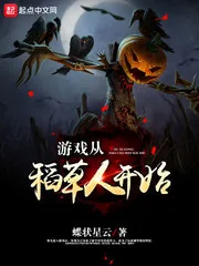 《游戏从稻草人开始》小说封面