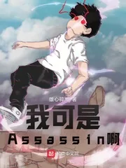 《型月：我可是Assassin啊！》小说封面