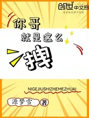 《你哥就是这么拽》小说封面