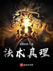 《法术真理》小说封面