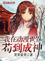《我在动漫世界苟到成神》小说封面