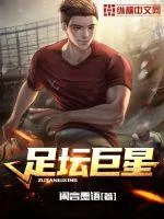 《足坛巨星》小说封面