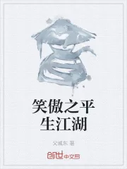 《笑傲之平生江湖》小说封面