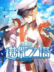 《无限之进化之塔》小说封面