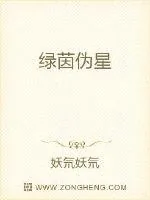 《绿茵伪星》小说封面