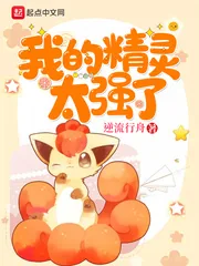 《我的精灵太强了》小说封面