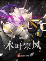《木叶寒风》小说封面