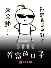 《在忍界当首富的日子》小说封面