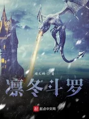 《凛冬斗罗》小说封面