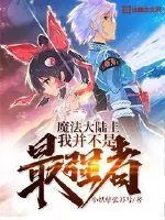 《魔法大陆上我并不是最强者》小说封面