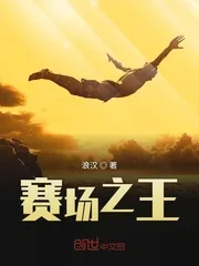 《赛场之王》小说封面