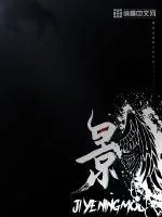 《堕影》小说封面