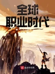 《全球职业时代》小说封面