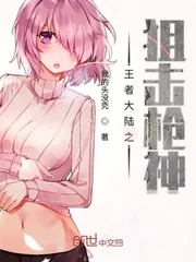 《王者大陆之狙击枪神》小说封面