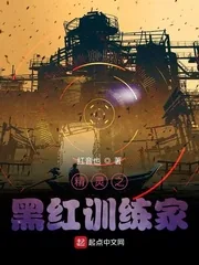 《精灵之黑红训练家》小说封面